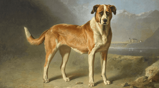Museums of the Dog
