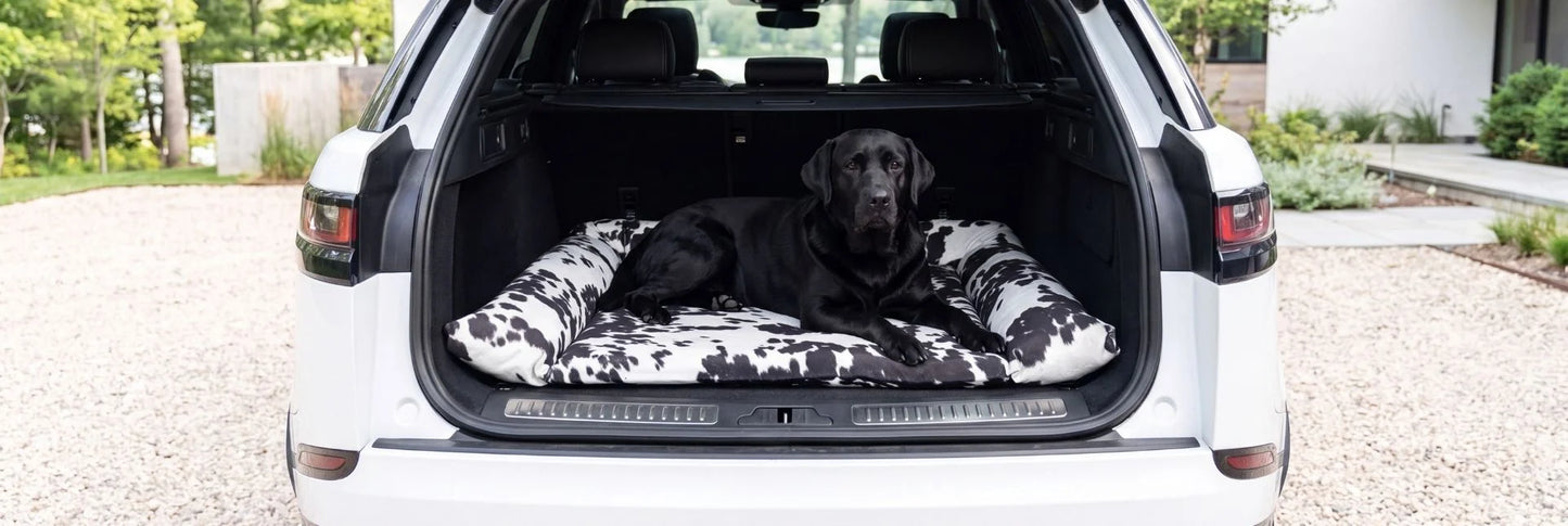 SUV Cargo Lounger