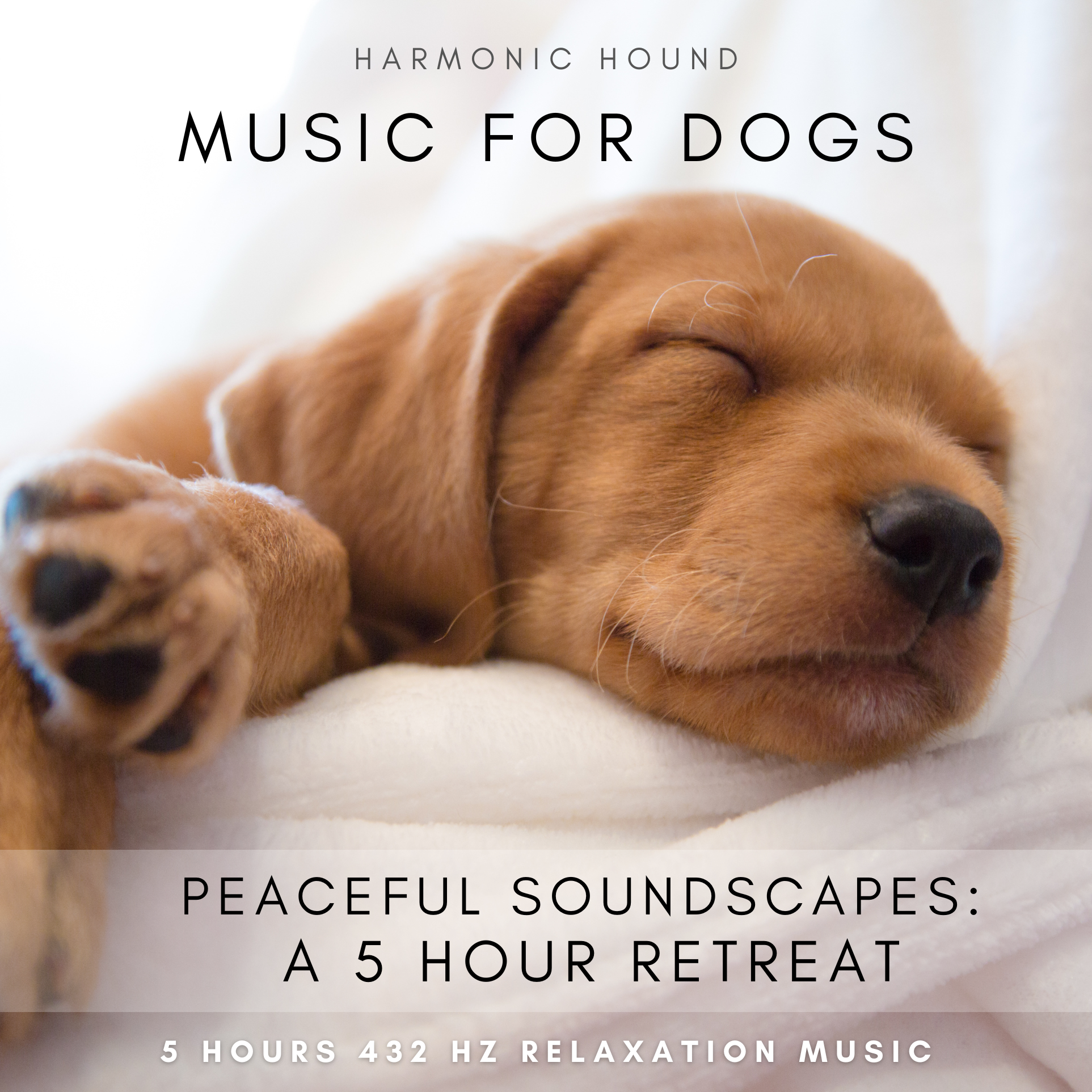 Soothing Sounds Calming Music For Dogs Spotify Calming Music Songs