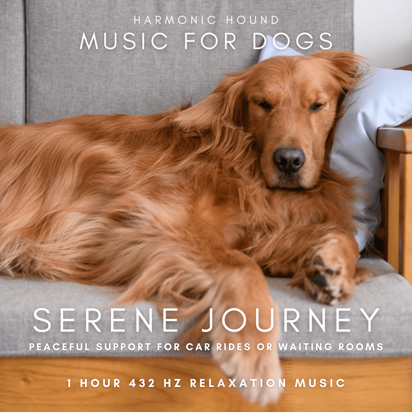 Harmoninc Hound™ Music for Dogs Serene Journey