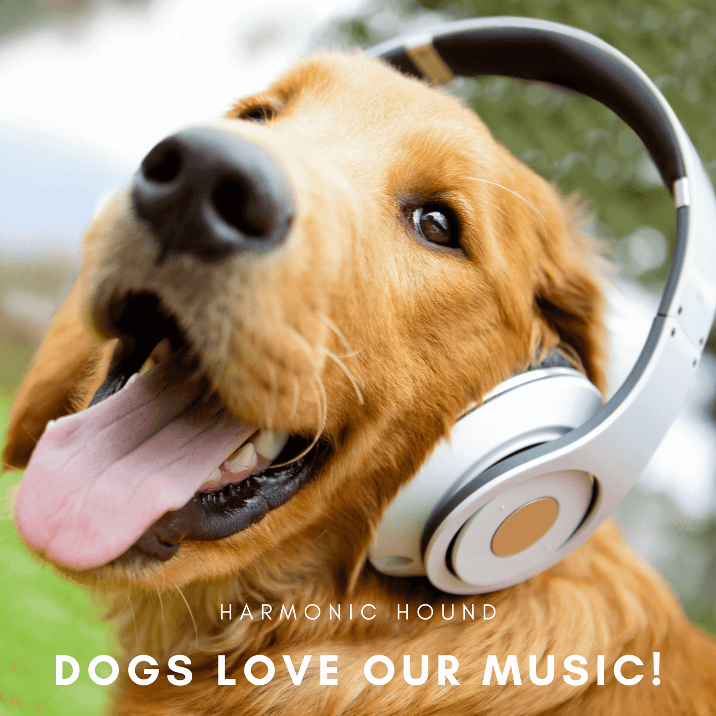 Harmoninc Hound™ Music for Dogs Serene Journey