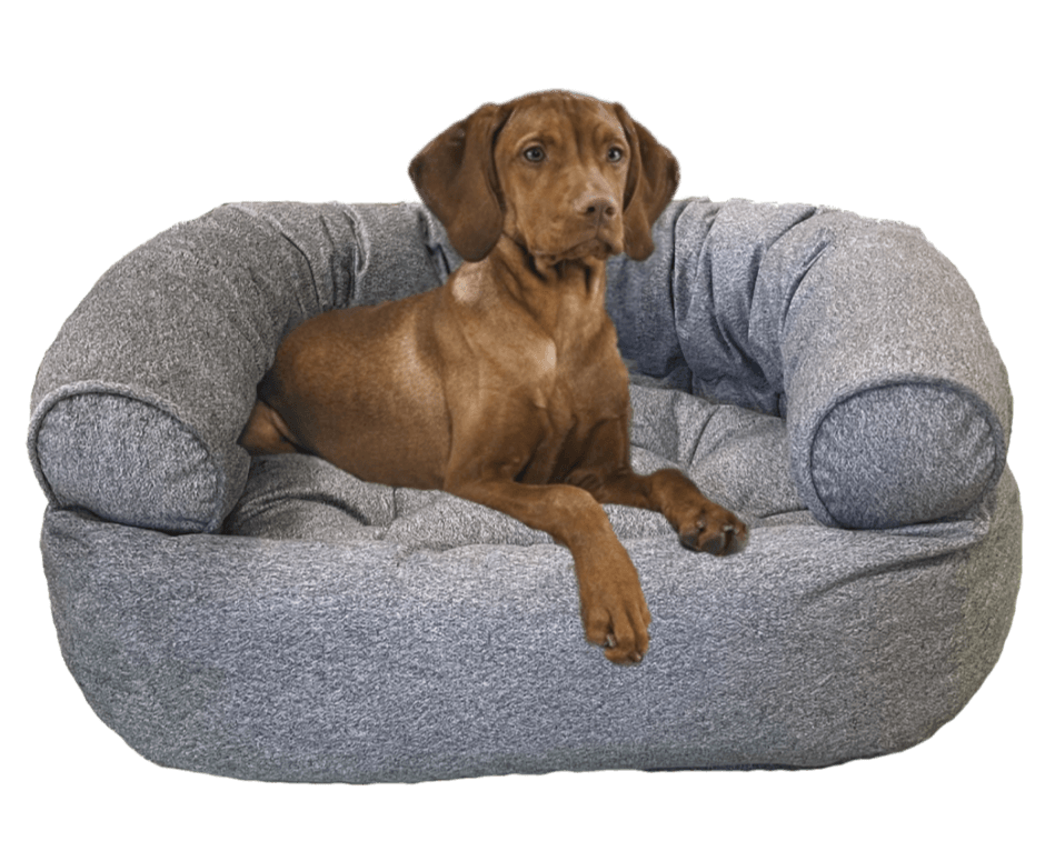 Bowser donut dog bed hotsell