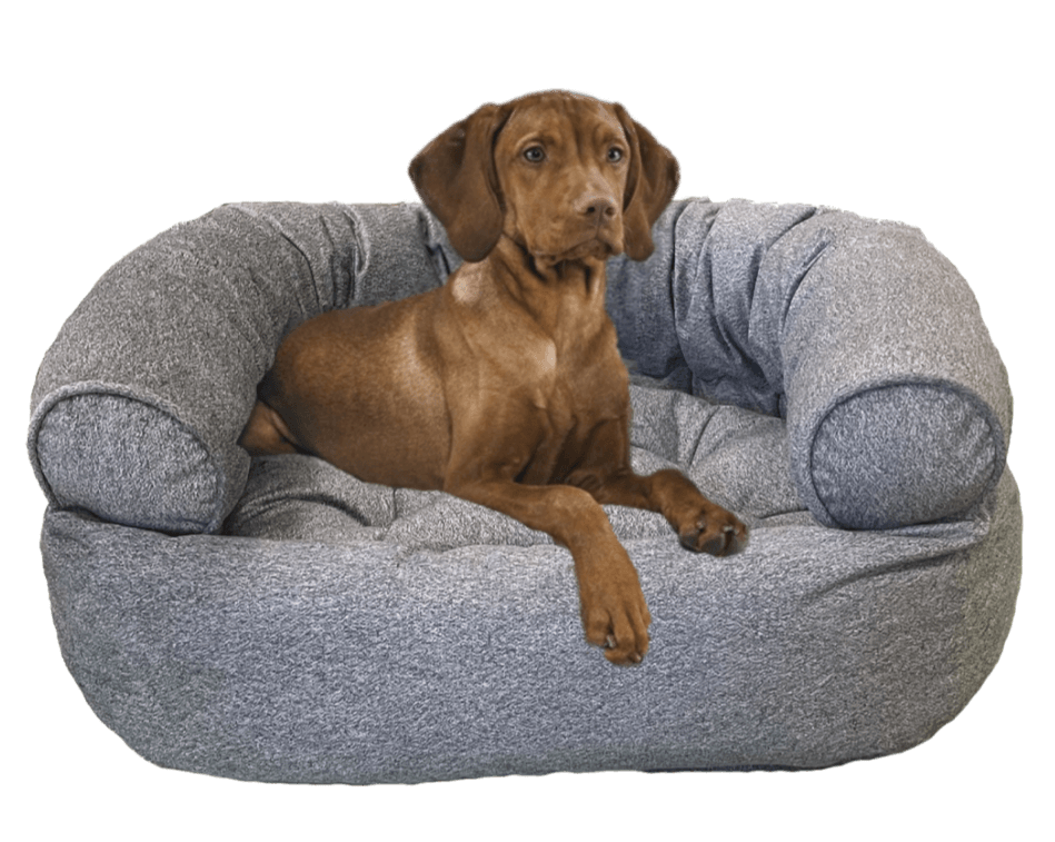 Double Donut Dog Bed From Bowsers Dog Crate World
