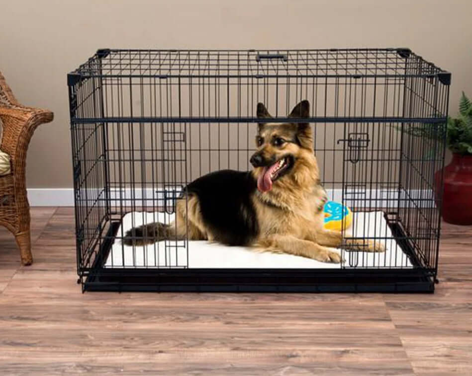 Dog cage for german shepherd best sale