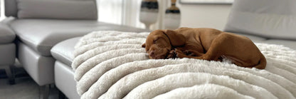 Luxurious Blanket Topper