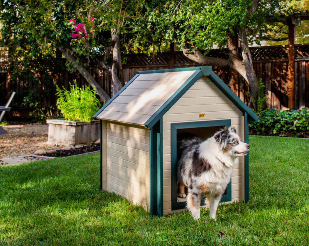 Bunkhouse Outdoor Dog House