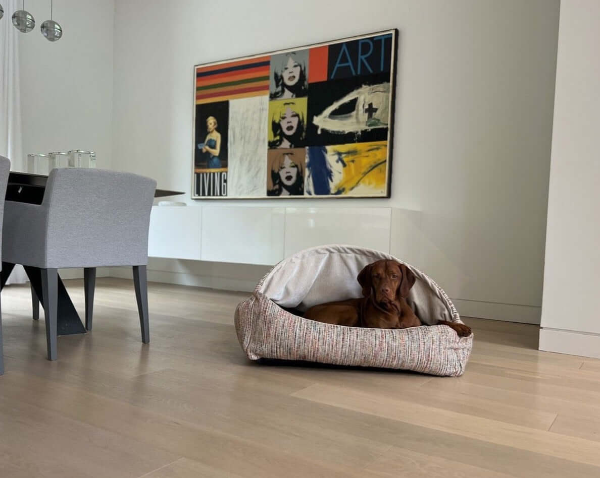 Canopy Dog Bed