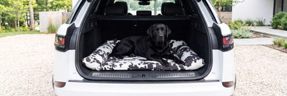 SUV Cargo Lounger