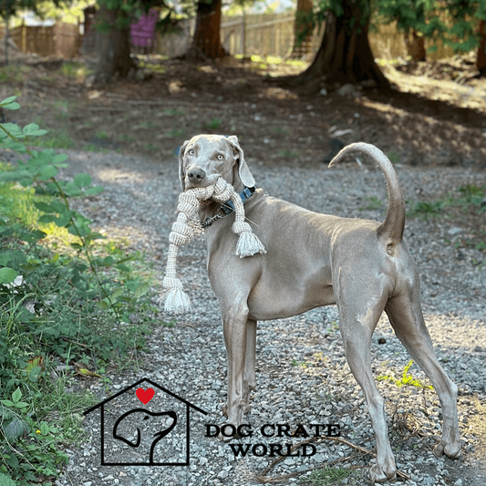 EcoHemp Dog Toys™