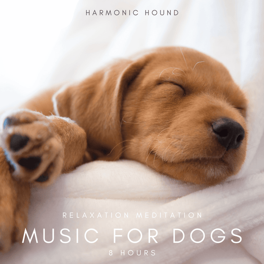 Harmonic Hound™ Relaxing Meditation Music for Dogs