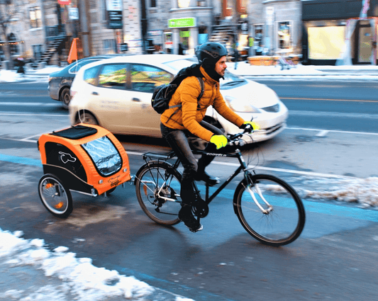 Doggo Bike Trailer