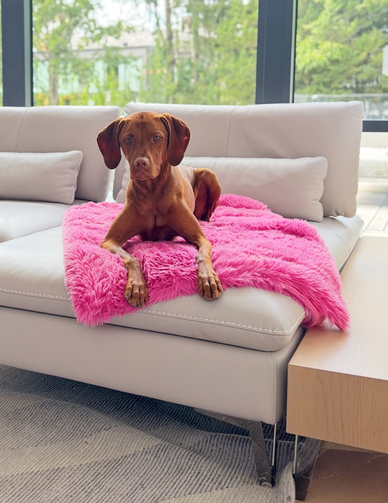 Luxurious Blanket Topper