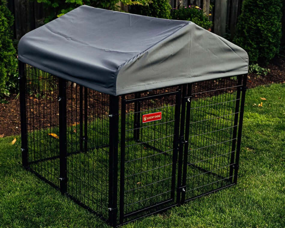 Outdoor Wire Mesh Dog Kennel