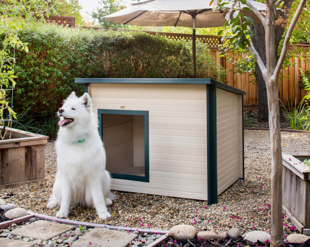 Rustic Lodge Outdoor Dog House