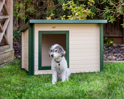 Rustic Lodge Outdoor Dog House