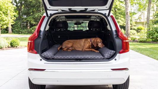SUV Cargo Lounger