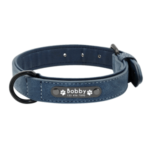 SafeWalk™ - Personalized Dog Collar and Leash Set