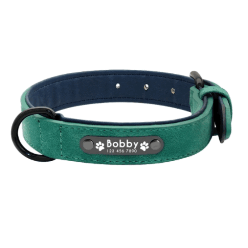 SafeWalk™ - Personalized Dog Collar and Leash Set