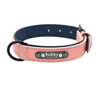 SafeWalk™ - Personalized Dog Collar and Leash Set