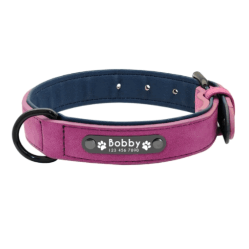 SafeWalk™ - Personalized Dog Collar and Leash Set