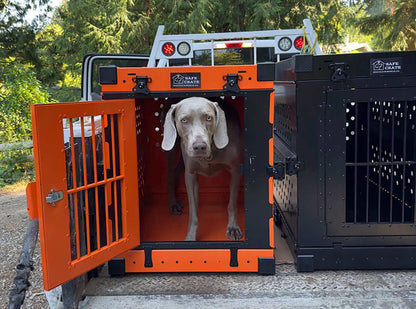 Safe Crate™: Collapsible Heavy Duty Chew-Proof Dog Crate - Airline Compliant