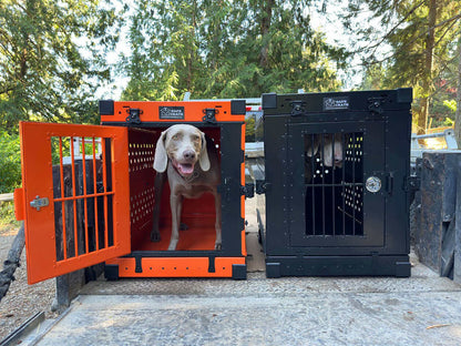Safe Crate™: Collapsible Heavy Duty Chew-Proof Dog Crate - Airline Compliant