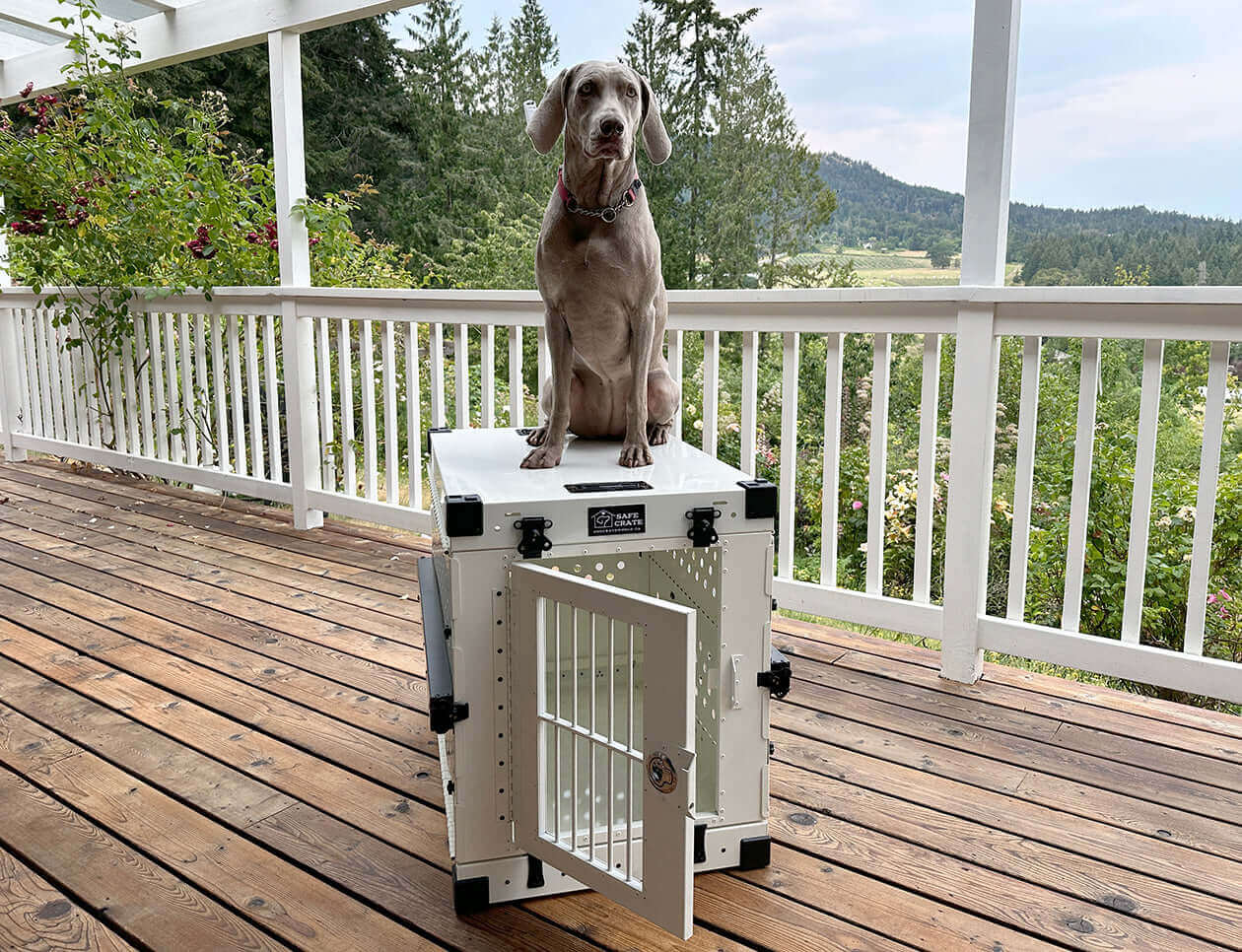 Safe Crate™: Collapsible Heavy Duty Chew-Proof Dog Crate - Airline Compliant