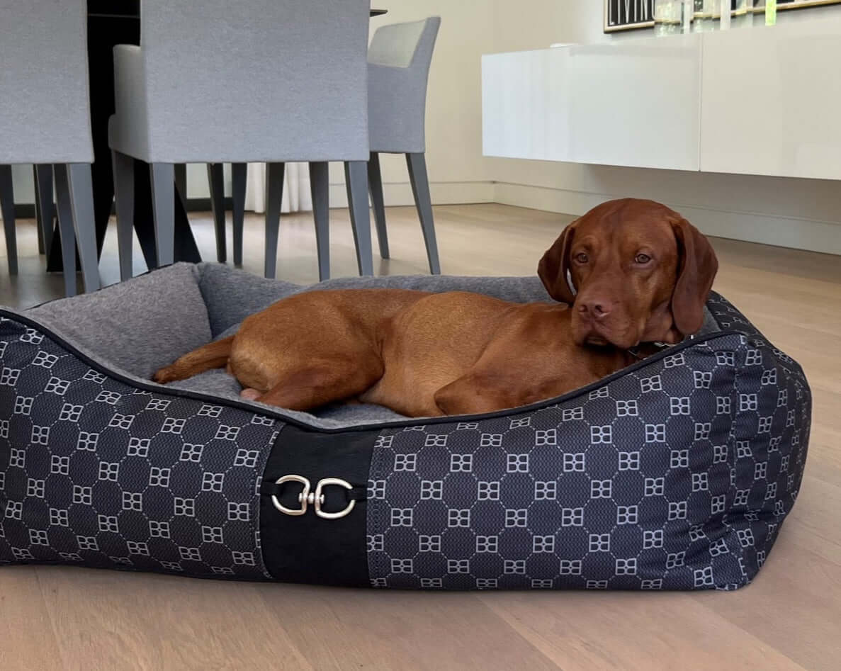 Signature Scoop Dog Bed