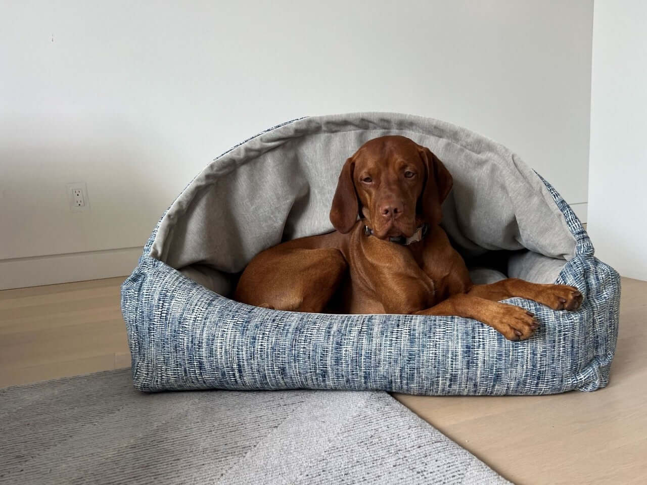 Dog bed and canopy best sale