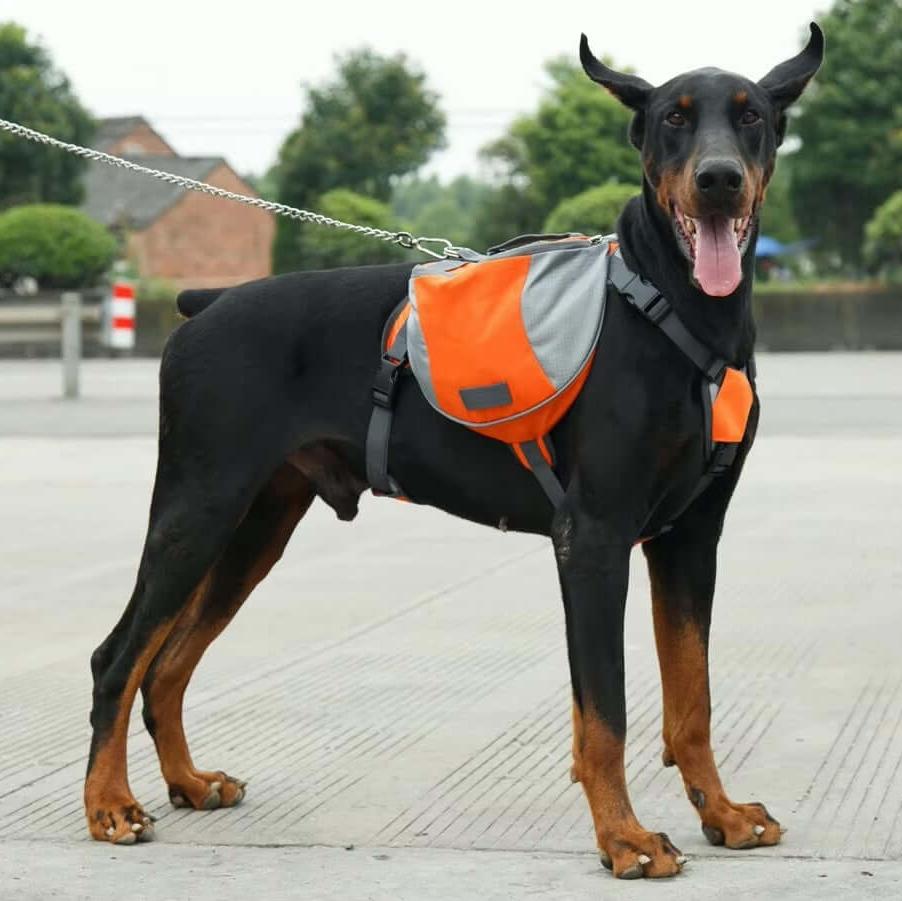 SafePack™ - Dog Back Pack