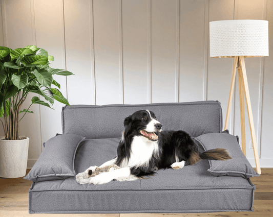 Dog Pet Sofa