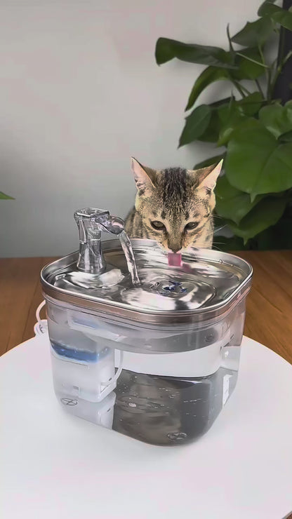 Pet Drinking Fountain
