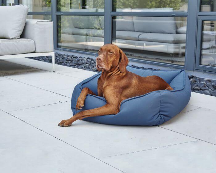 Outdoor Urban Dog Lounger