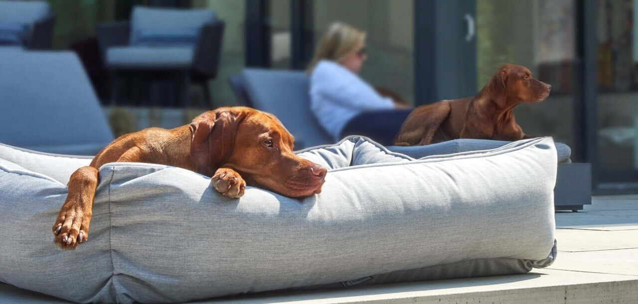 Bowsers Urban Lounger Pet Bed Heather Grey Size XL 15706